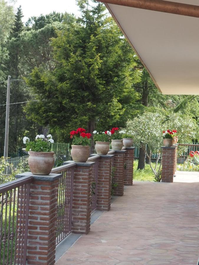 Etna Casa Del Sole Bed and Breakfast Nicolosi Eksteriør billede